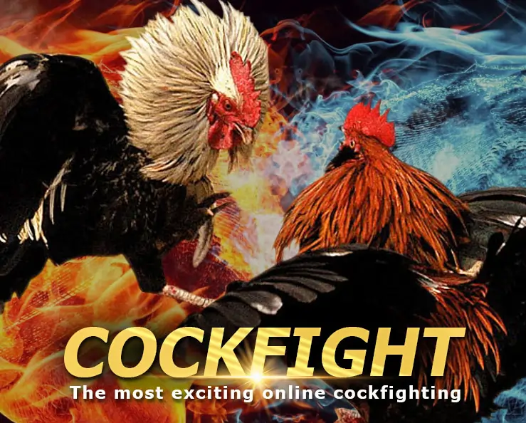 Cockfight Casino